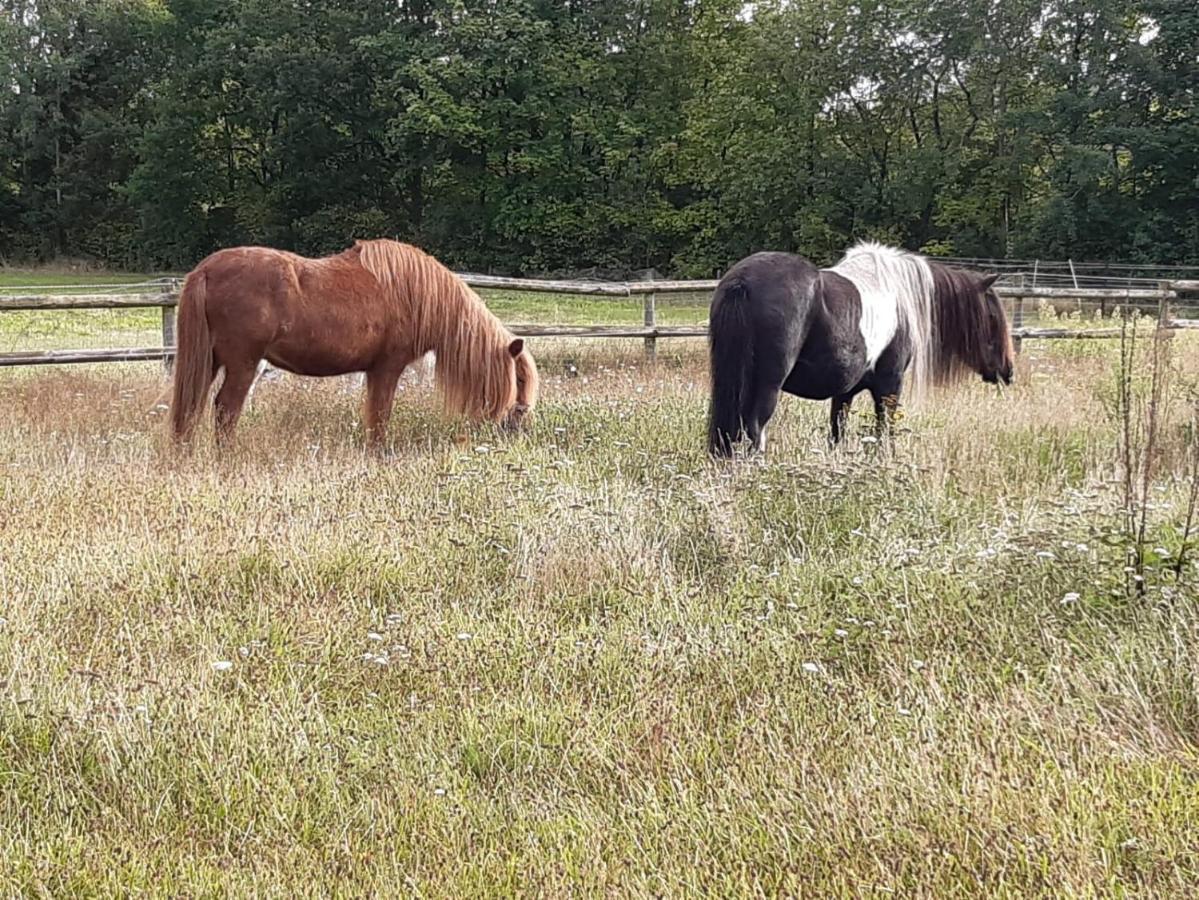 Ferienvermietung Reinstorf Reinstorf  Exterior foto