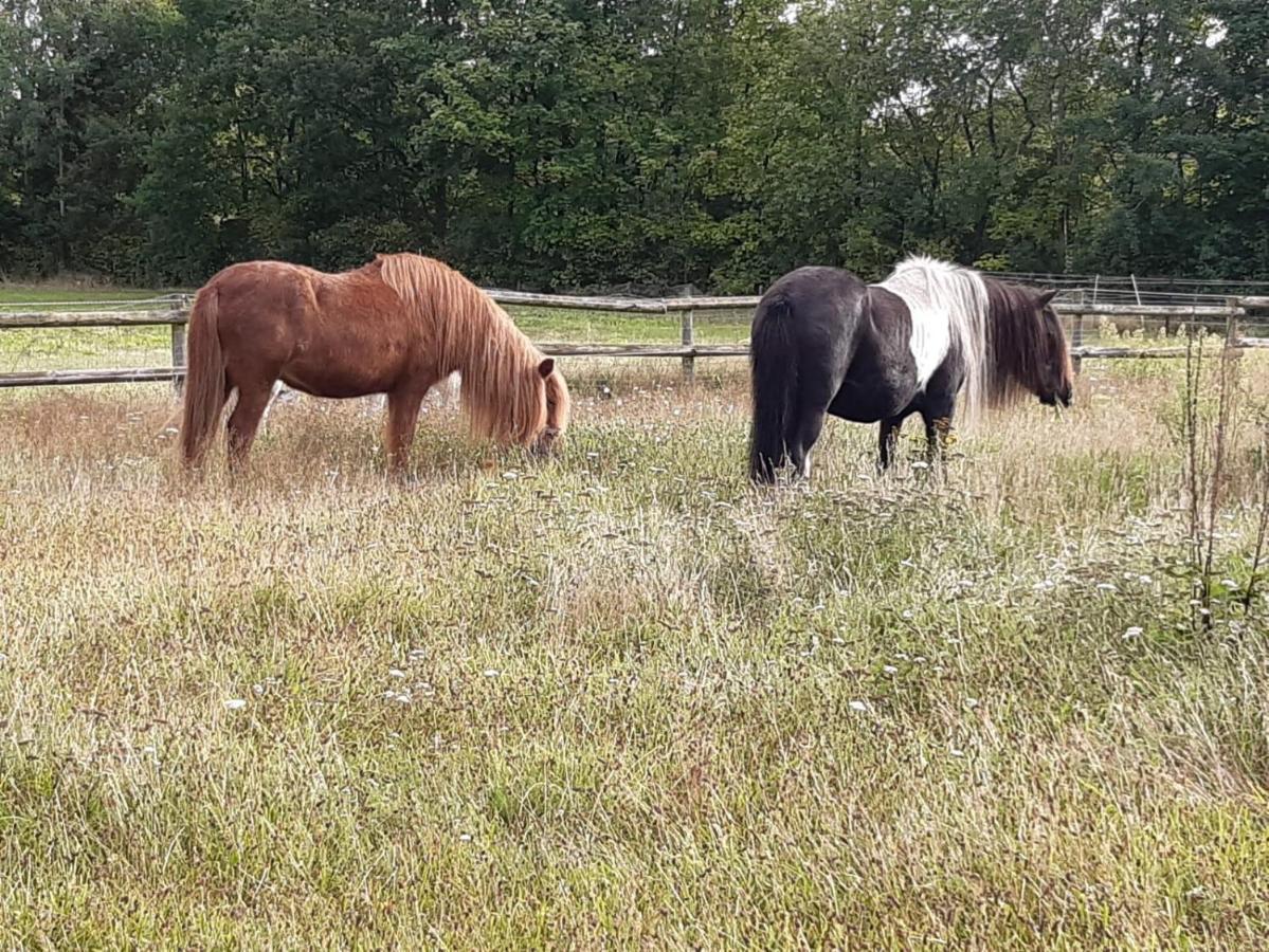 Gaestezimmer Vermietung Reinstorf Reinstorf  Exterior foto
